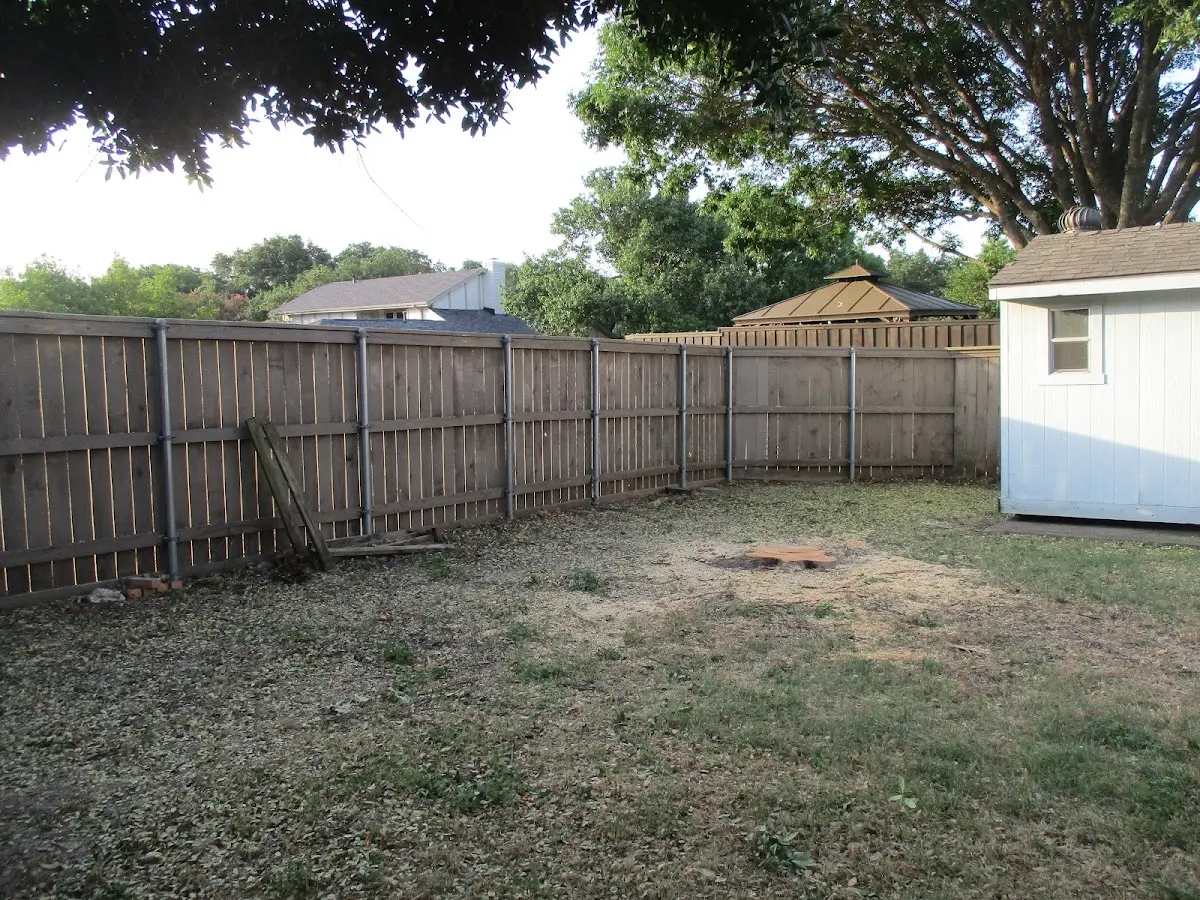 Cleared yard after professional tree removal in Gulf Shores